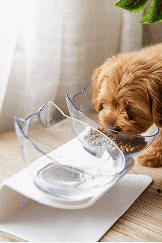 Elevated Pet Bowl