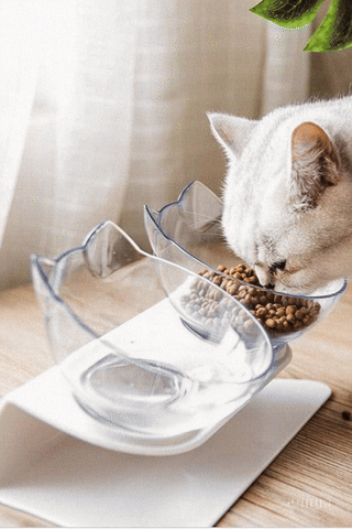 Elevated Pet Bowl