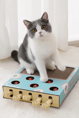 Interactive Cat Puzzle Board