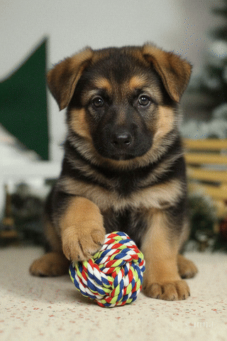 Cotton Rope Ball