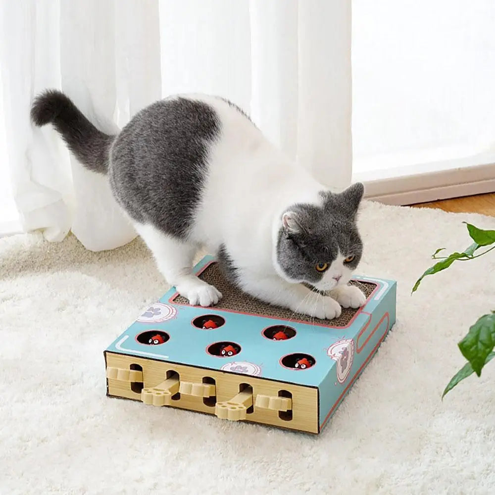 Interactive Cat Puzzle Board