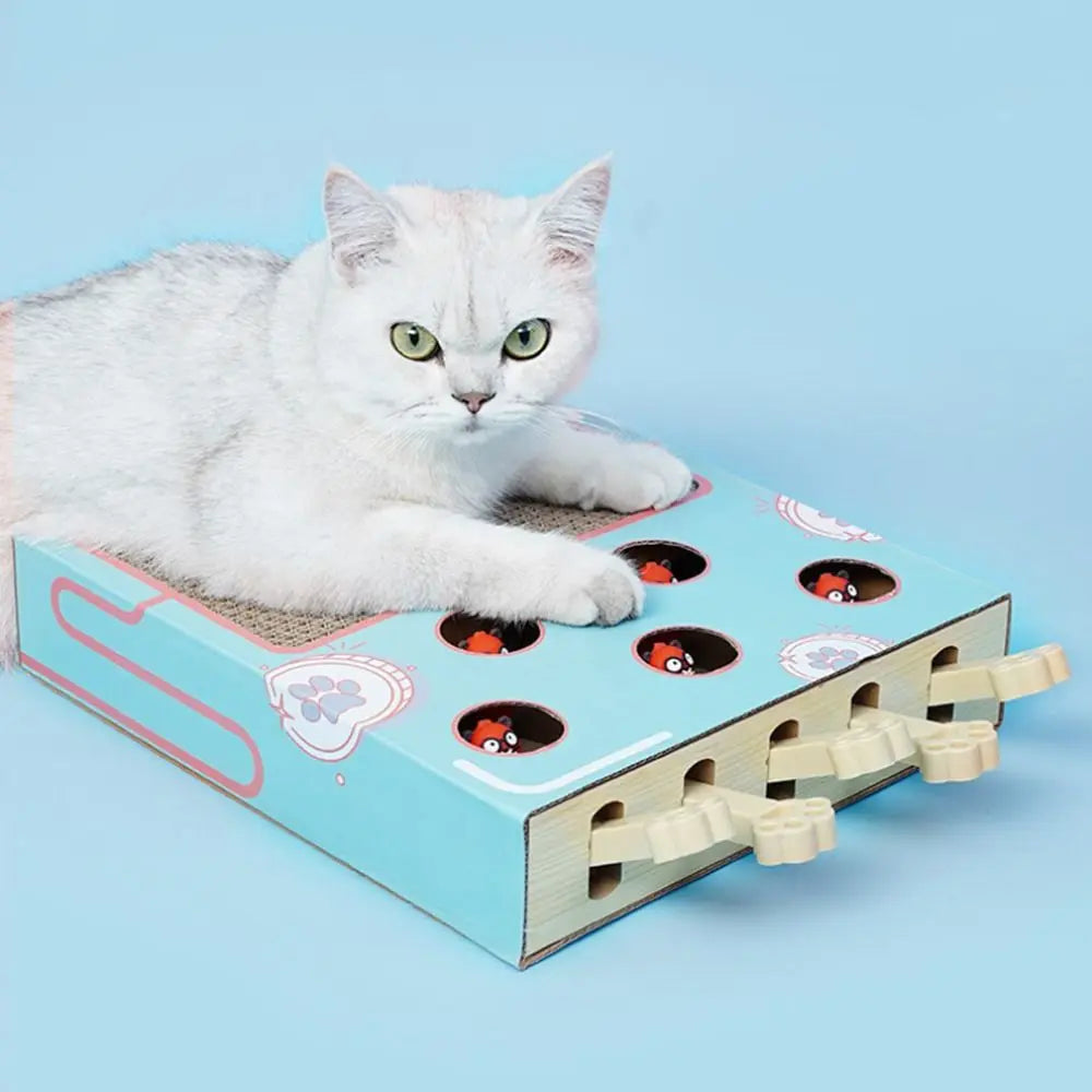 Interactive Cat Puzzle Board