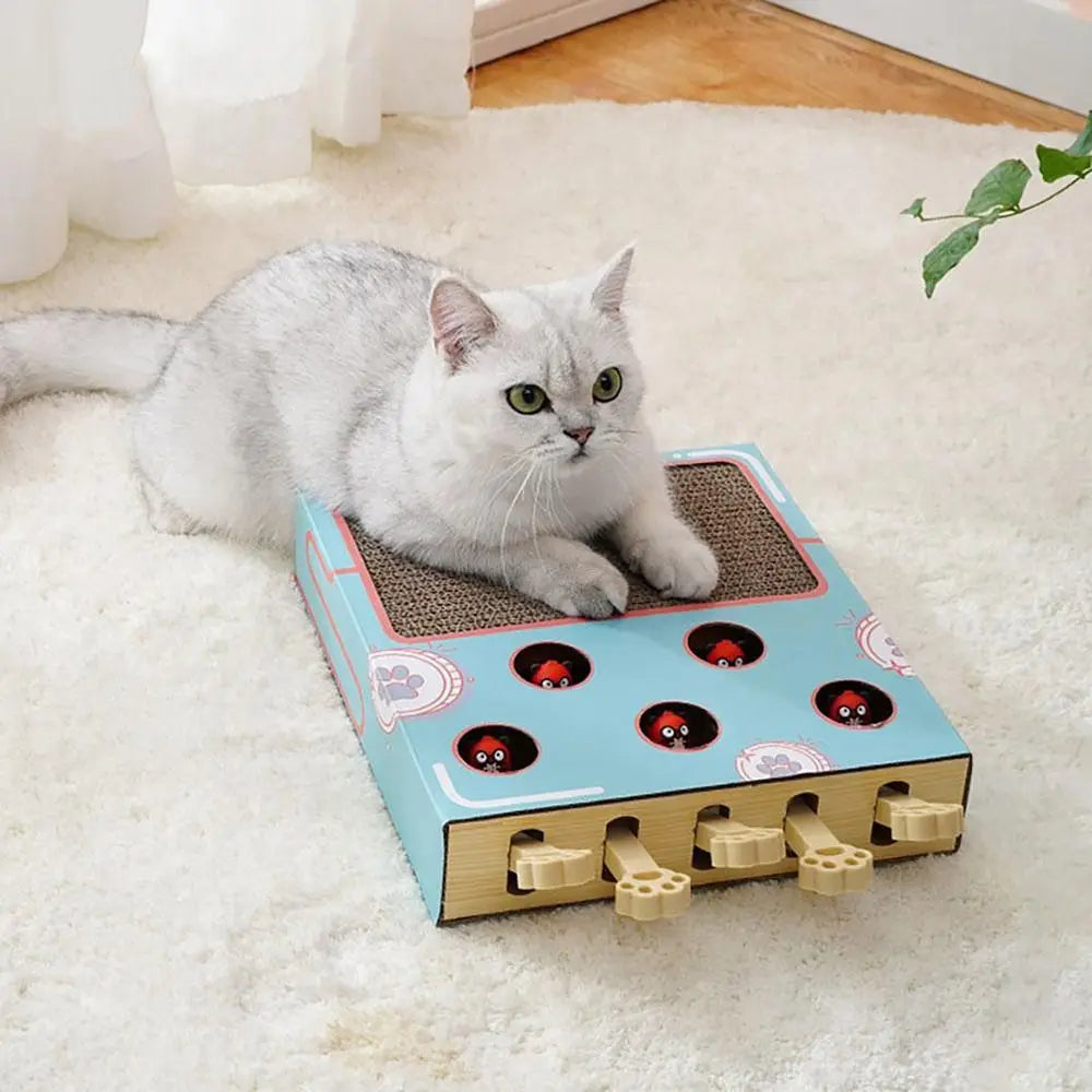 Interactive Cat Puzzle Board