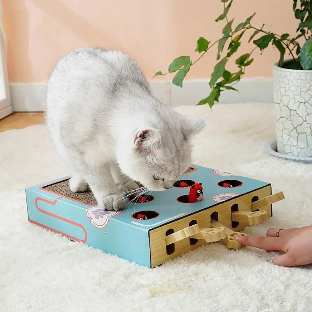 Interactive Cat Puzzle Board